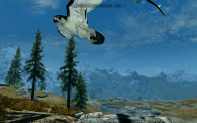 Bird Companion Falcon Skyrim Special Edition