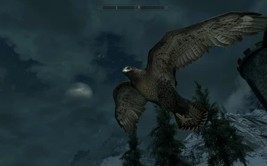 Falconry Skyrim Hawk and Half Moon
