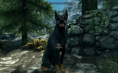 Doberman Dog in Skyrim