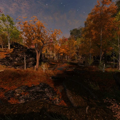 VR Colorful Forest Sunset