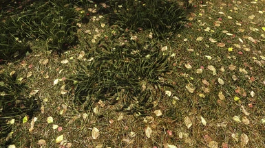 Grass for ENB and Skyland WIP
