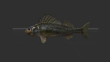 Skyrim realistic fish