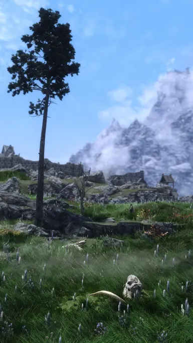 Green Tundra at Skyrim Special Edition Nexus - Mods and Community