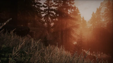 Ebony ENB for Vanilla Weathers UPDATE COMING