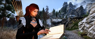 Studying up in the DynDOLOD 3 Manual