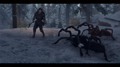 Spider Fight