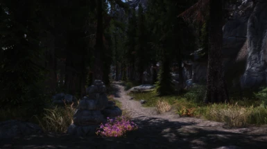 Out for a Walk - Falkreath