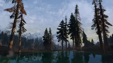 Happy Little Trees in Eastmarch at Skyrim Special Edition Nexus - Mods ...