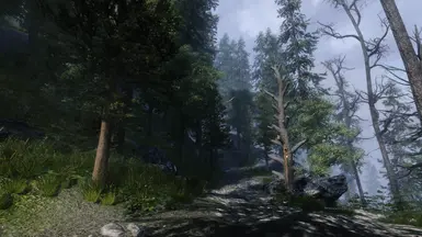 Blubbo Trees 3 at Skyrim Special Edition Nexus - Mods and Community