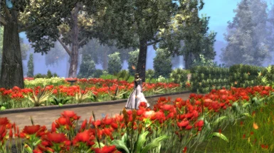 The enchanted gardens
