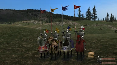 MB Warband Renaissance Various Knights