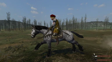 Flemish knightly horse