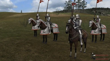 Finally I decided to remove shields of heavy cavalry