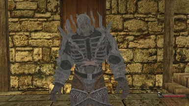 Armor of Imlerith from The Witcher 3