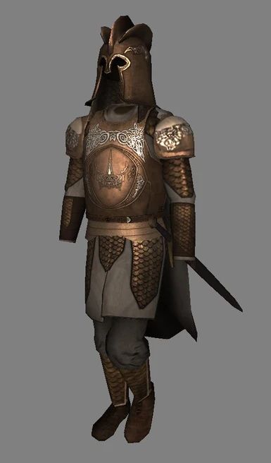 Baratheon Kingsguard