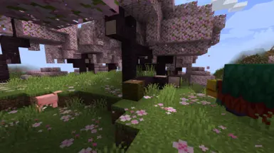 Cherry blossom biome 1 20