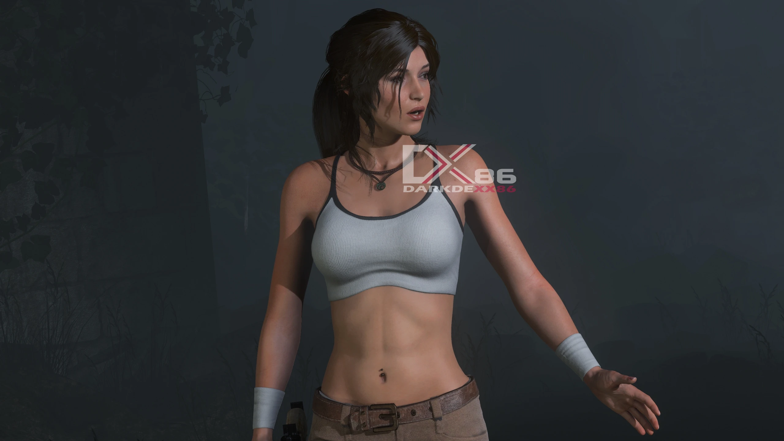 rise of the tomb raider mods