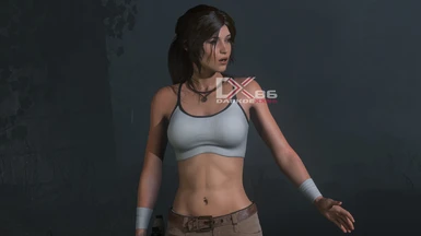 the rise of the tomb raider mods