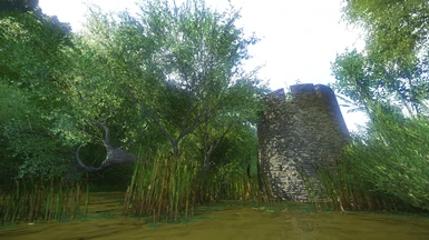 Sazava swamp tower ruins p1