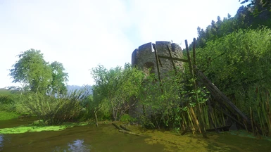 Sazava swamp tower ruins p2