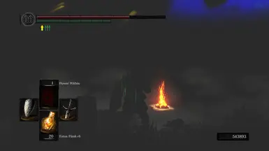 DSRR BUG