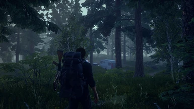 State of Decay 2 Forest with my custom Reshade