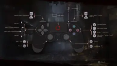 Mod Request-Dualshock 4 icons over Xbox controller icons