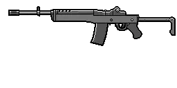 New Ruger AC556 Icon
