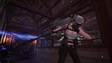tera hack for rally