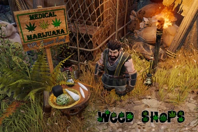 Weed Shops Dr Sweet Leaf