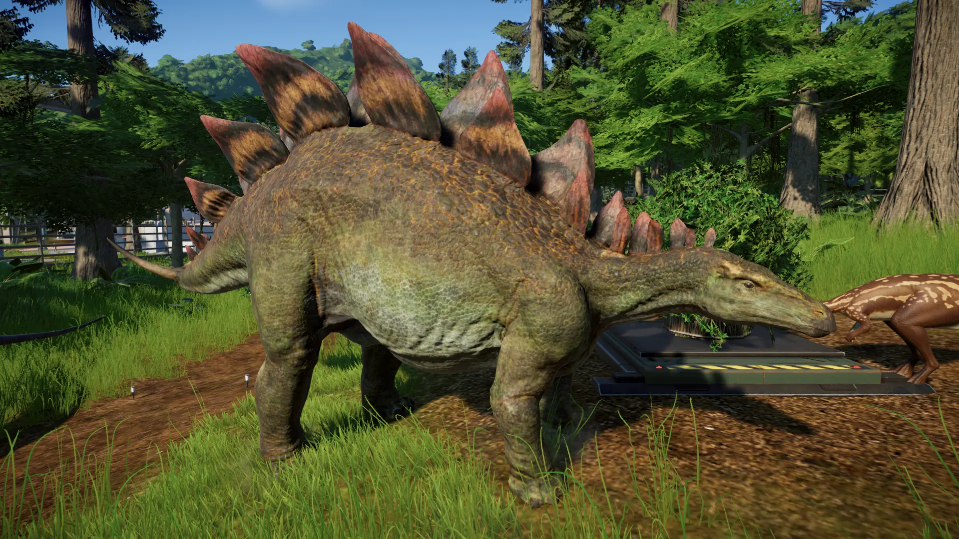 jwe stegosaurus