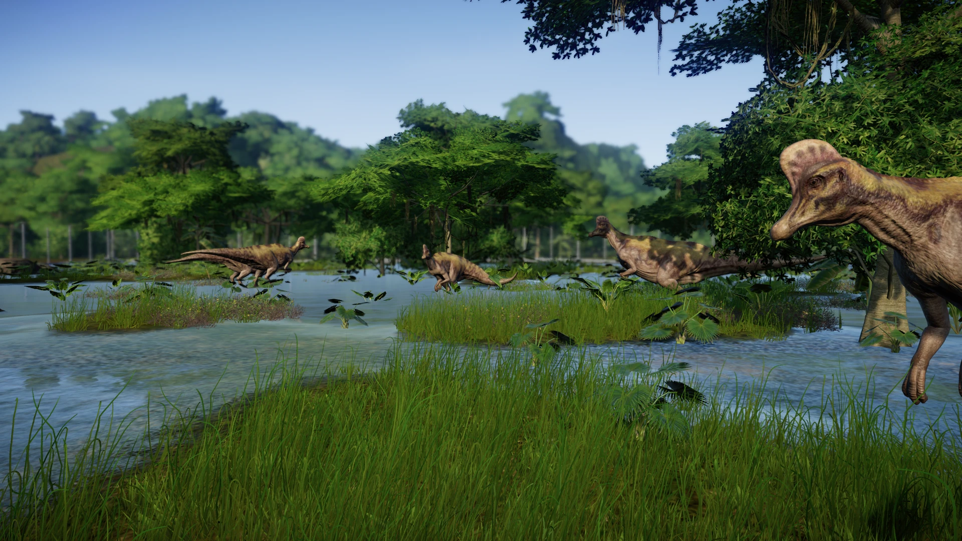 Corythosaurus herd in the wetlands at Jurassic World Evolution Nexus ...