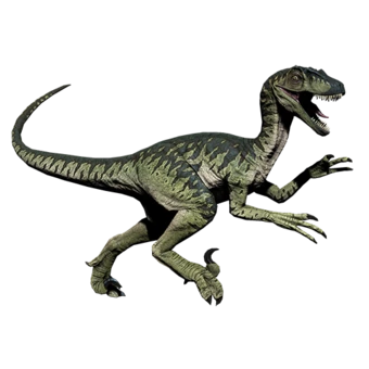 New Creature Idea- Novaraptor New Creature Idea- Novaraptor
