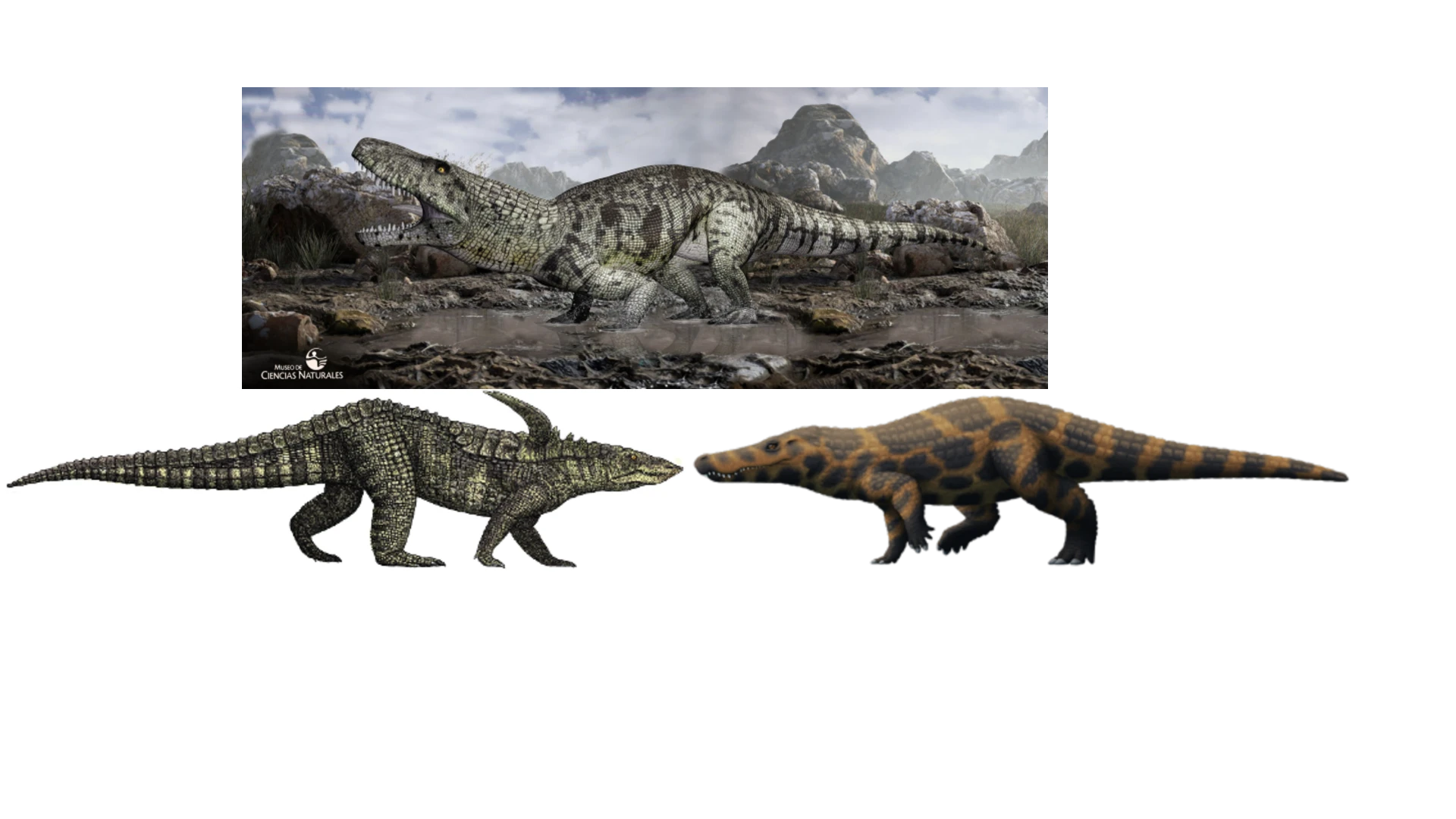 mod pack idea -desmatosuchus- boverisuchus- saurosuchus mod pack idea -desmatosuchus- boverisuchus- saurosuchus