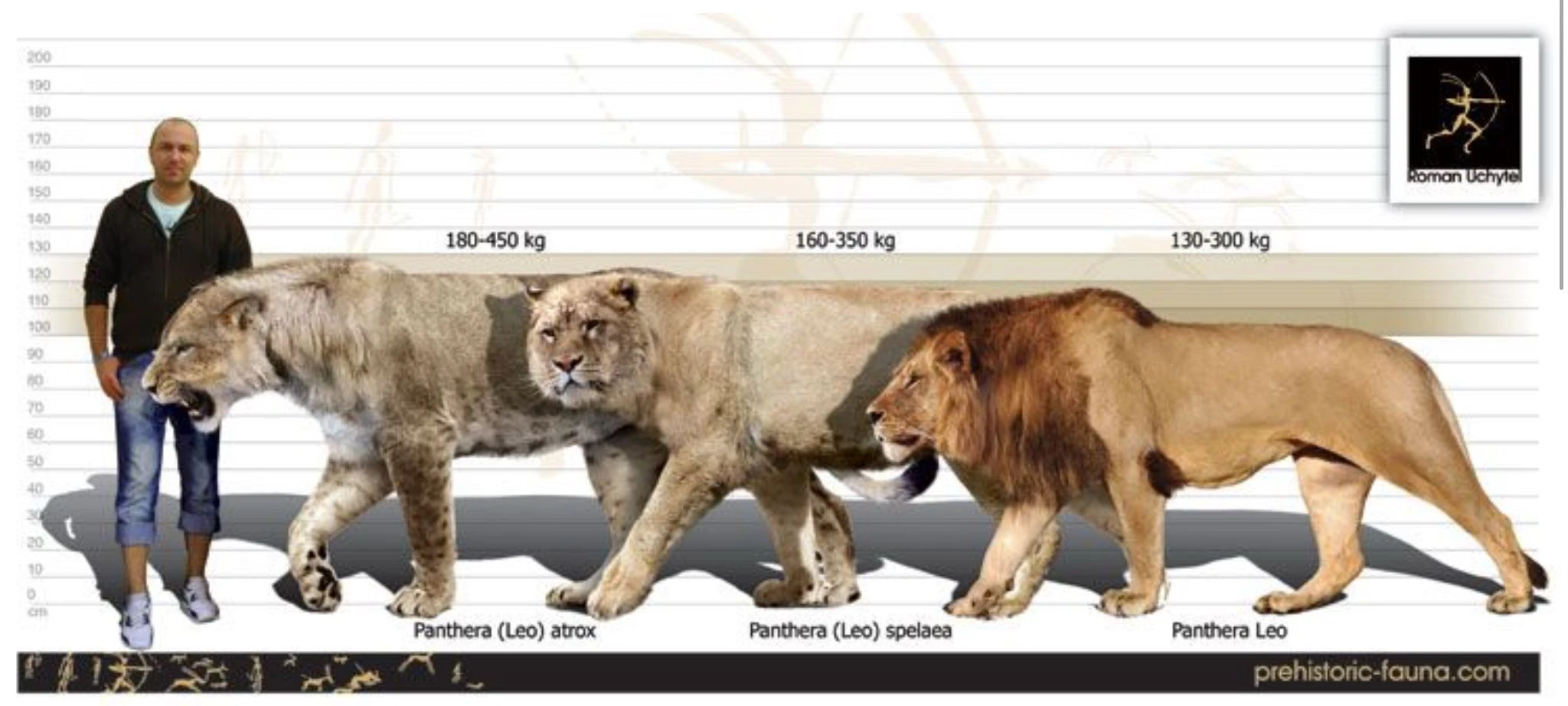 Panthera spelaea - Wikipedia