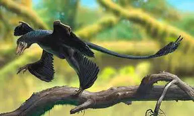 microraptor jurassic world