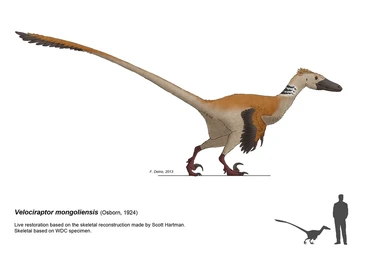 Velociraptor - Accurate - mod idea