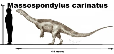 mod idea- Massospondylus