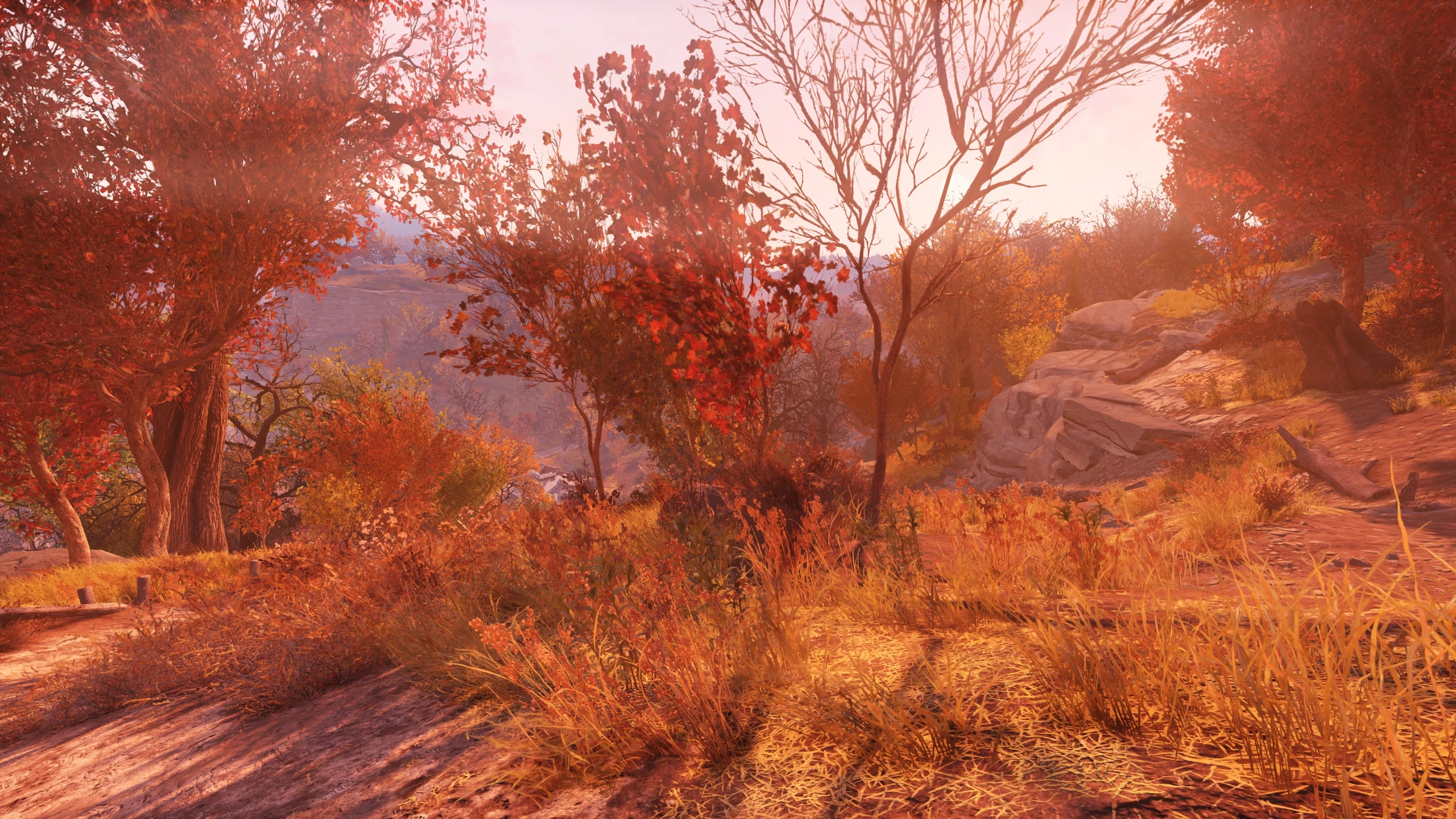 Fallout 76 Mods Nexus