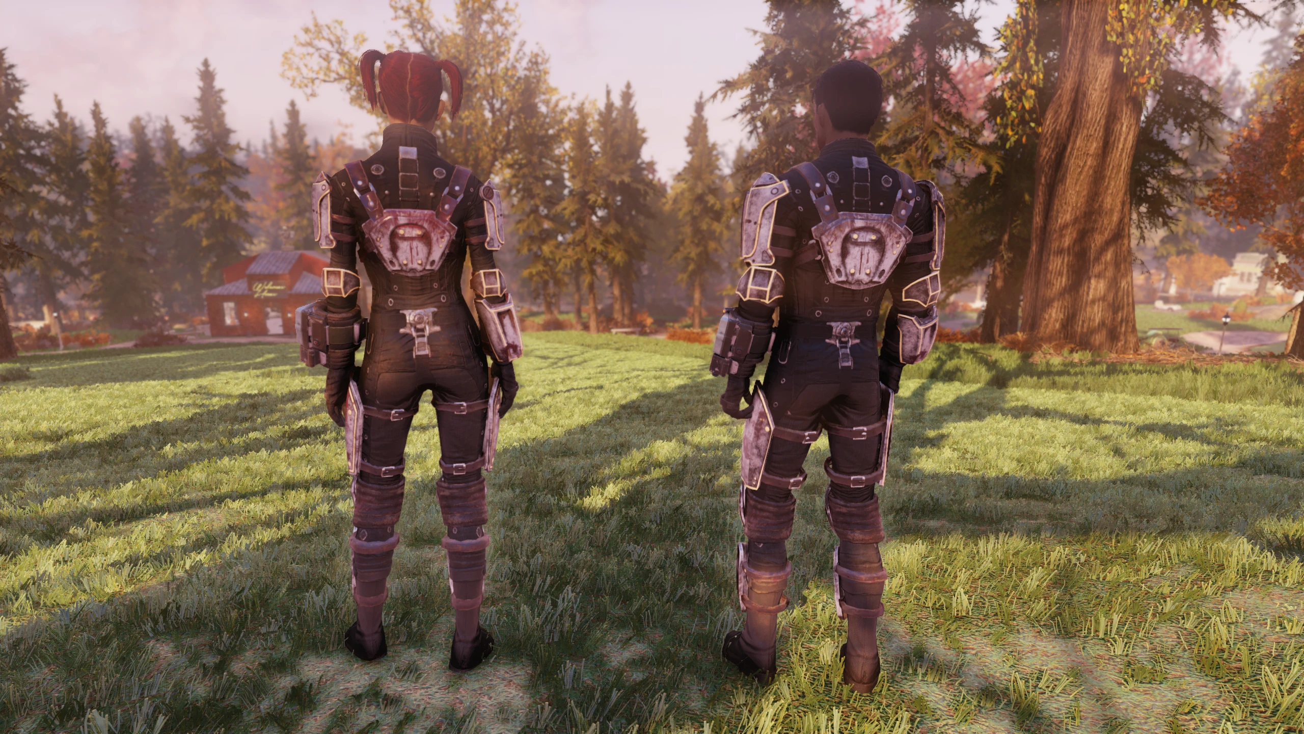 Fallout 76 armor ace до какого числа