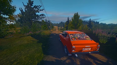 The scariest part of my summer car