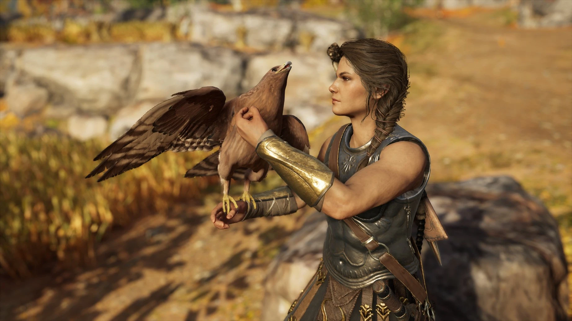 Who's the goodest bird at Assassin's Creed Odyssey Nexus - Mods and