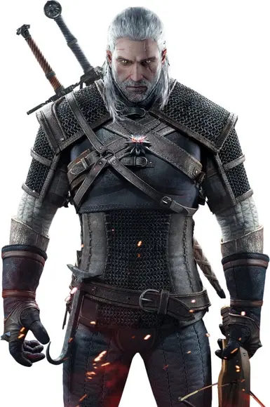 the witcher