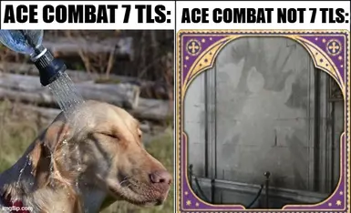 IN A NUTSHELL