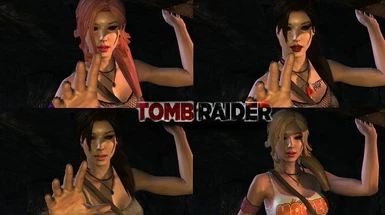 Tomb Raider 2013 Mods