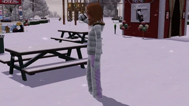 The Sims 3 Winter and coffee
