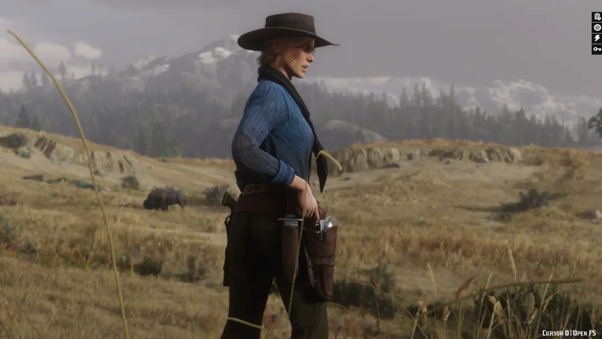 The Cowgirl at Red Dead Redemption 2 Nexus - Mods and community