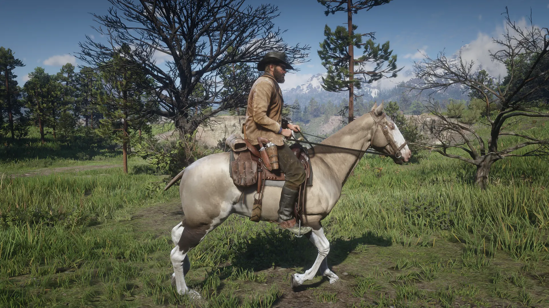 Slight Issue at Red Dead Redemption 2 Nexus - Mods and community