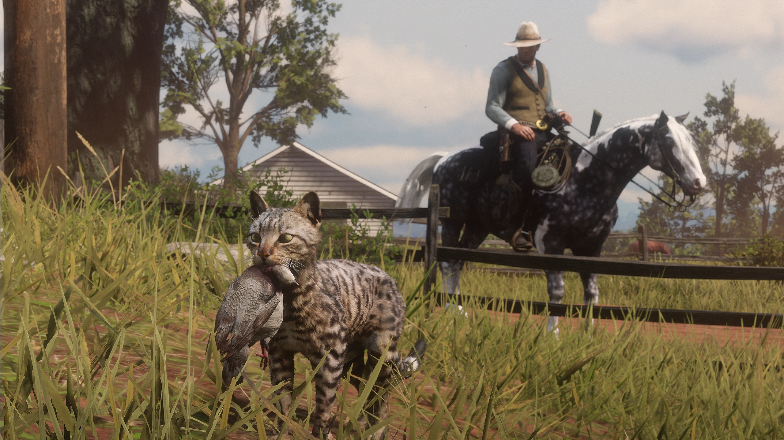 This is so funny at Red Dead Redemption 2 Nexus - Mods and community