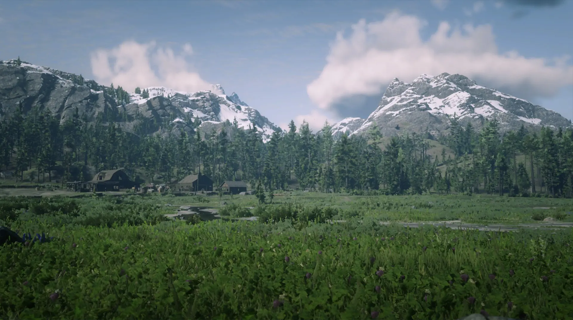 another one at Red Dead Redemption 2 Nexus - Mods and community